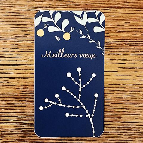troc de  Petite carte "Meilleurs voeux"., sur mytroc