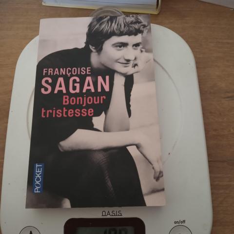 troc de  Bonjour Tristesse (Françoise Sagan), sur mytroc
