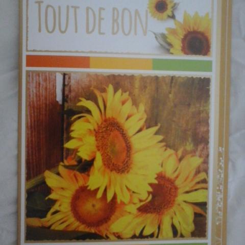 troc de  Carte TOUT DE BON fleurs de tournesols & son enveloppe ocre décor, sur mytroc