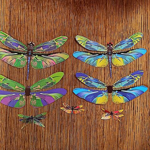 troc de  9 libellules., sur mytroc