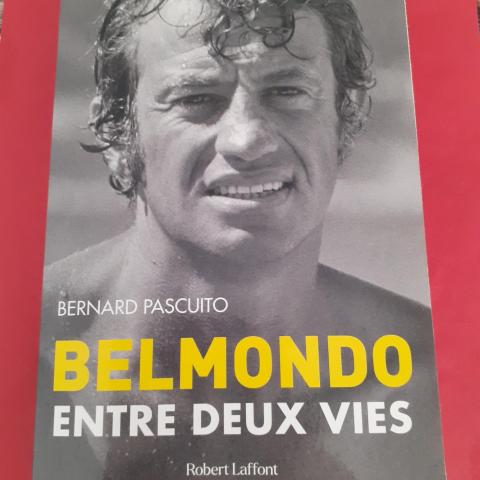 troc de  LIVRE BIOGRAPHIE BELMONDO / ENTRE DEUX VIES, sur mytroc