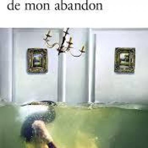 troc de  Livre - Les jours de mon abandon - Poche - Elena Ferrante, sur mytroc