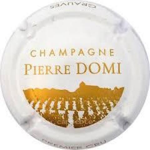 troc de  Capsule Champagne Pierre Domi, sur mytroc