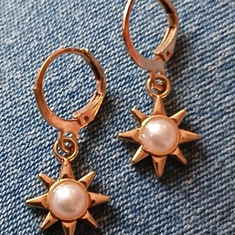 troc de  Une Boucle D Oreille, sur mytroc