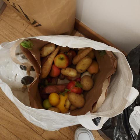 troc de  Panier de légumes, sur mytroc