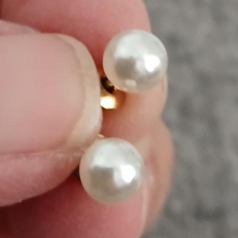 troc de  Une Paire De Boucle D Oreille, sur mytroc