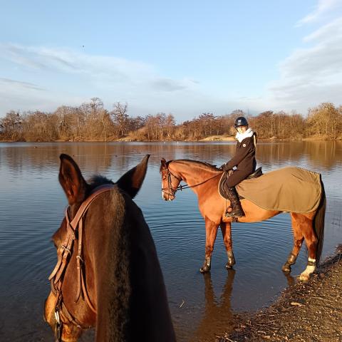 troc de  Balade à cheval, sur mytroc