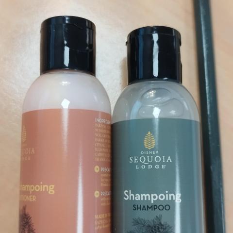 troc de  2 flacons d'hôtel Disneyland, sur mytroc