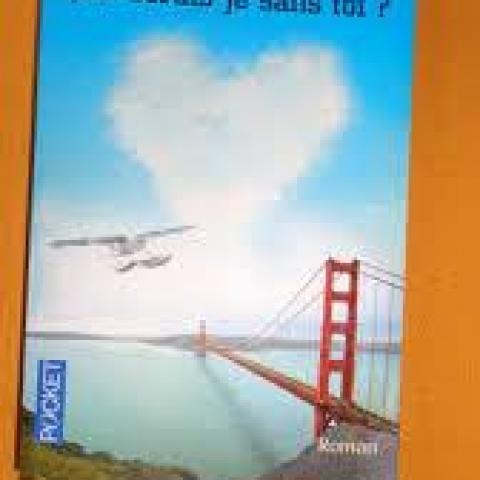 troc de  Livre - Que serais - je sans toi ? - Poche - Guillaume Musso, sur mytroc