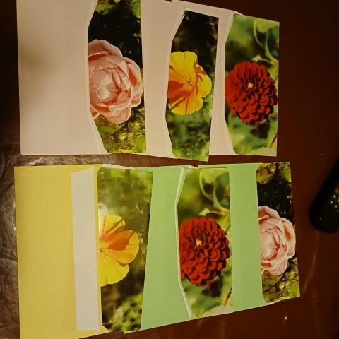troc de  Lot de 5 cartes fleurs avec enveloppe, sur mytroc