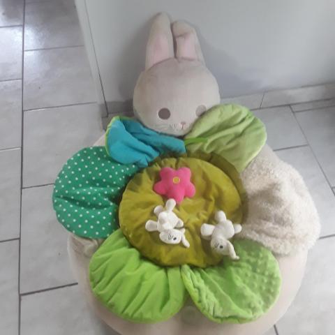 troc de  Lapin oxybull, sur mytroc