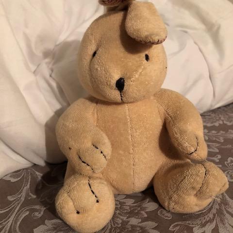 troc de  Peluche lapin 17cm assis (sans les oreilles), sur mytroc