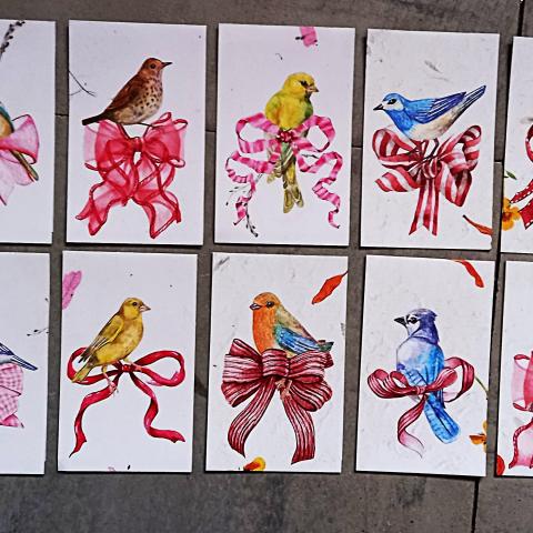 troc de  Cartes à messages oiseaux., sur mytroc