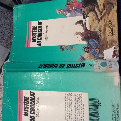 troc de  Pour 9-10 ans Mystère au chocolat de Didier Herlem collection cascade 1987, sur mytroc