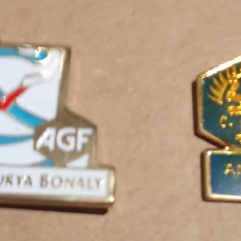 troc de  pin's sans attache, sur mytroc