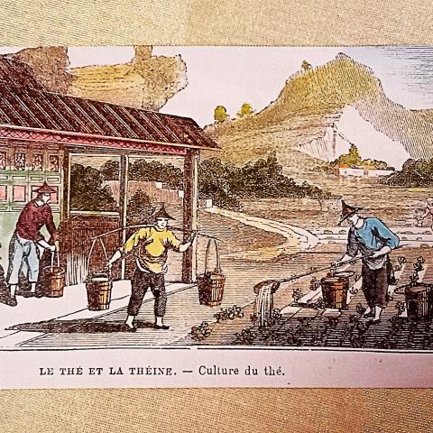 troc de  Affiche recto/verso., sur mytroc