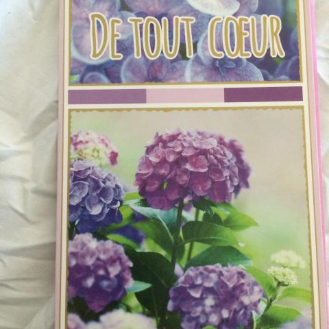 troc de  Carte DE TOUT COEUR décor fleur hortensia & son enveloppe rose, sur mytroc