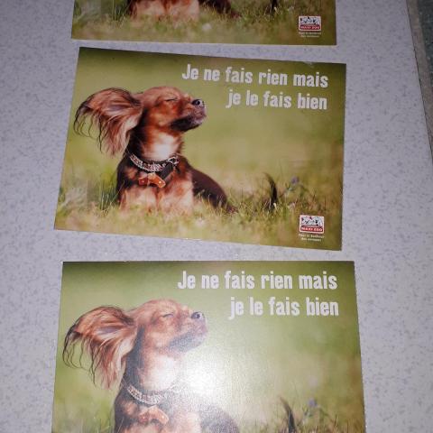 troc de  3 cartes postales, sur mytroc