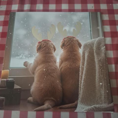 troc de  Carte, sur mytroc