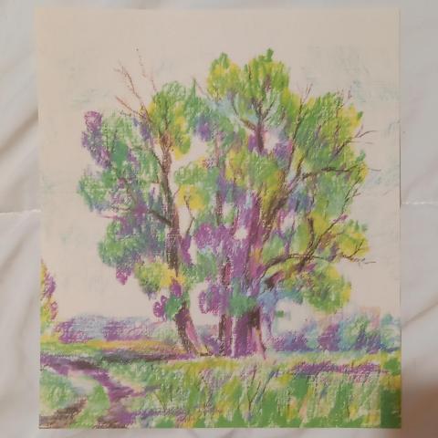 troc de  Affiche "Les arbres"., sur mytroc