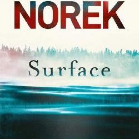 troc de  " Surface " Olivier Norek (2019) Michel Lafon, sur mytroc