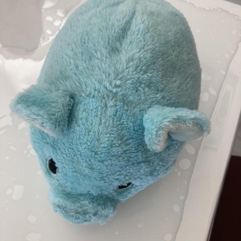 troc de  Peluche cochon, sur mytroc