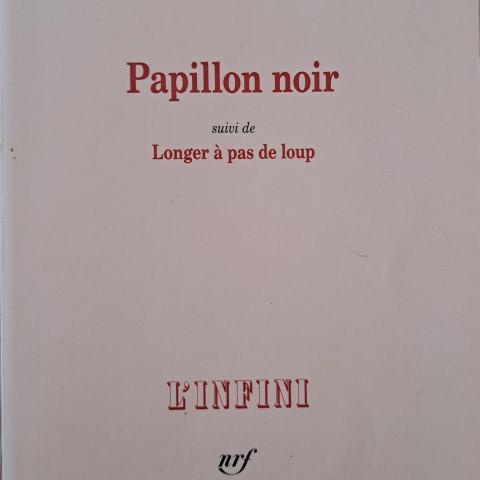 troc de  Papillon noir de Yannick Haenel, sur mytroc