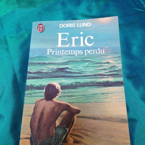 troc de  Troc roman Eric, Printemps perdu, sur mytroc