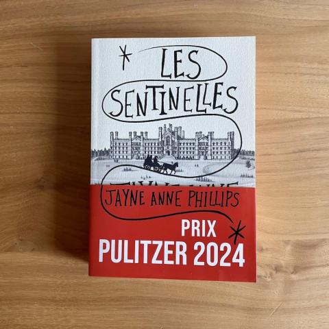 troc de  Recherche le livre " Les sentinelles " de Jayne Anne Phillips, sur mytroc