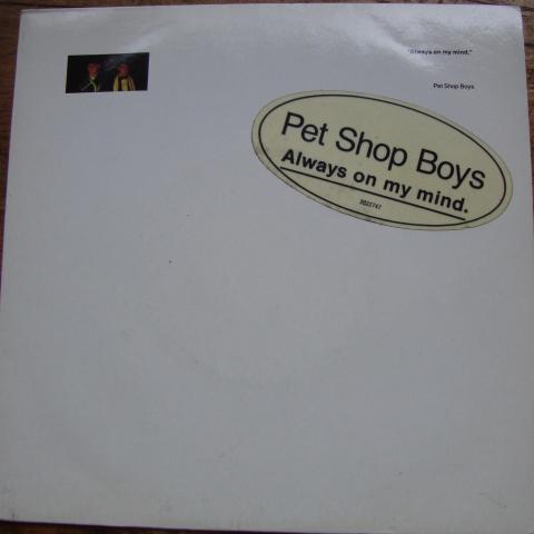 troc de  Vinyle 45T PET SHOP BOYS, sur mytroc