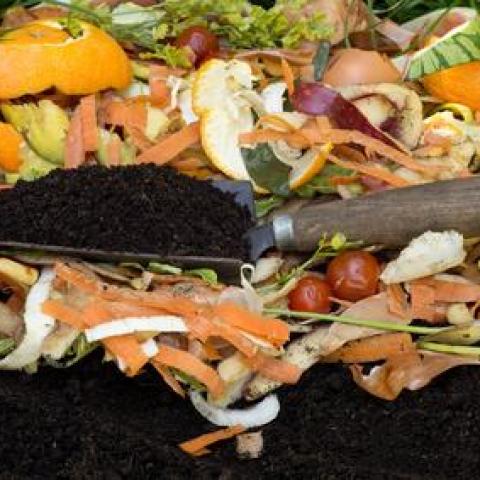 troc de  Donne compost & lombriciens, sur mytroc