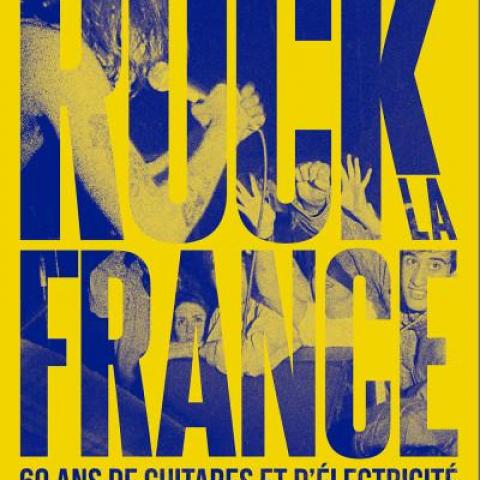 troc de  Recherche le livre Rock la France de Didier Varrod, sur mytroc