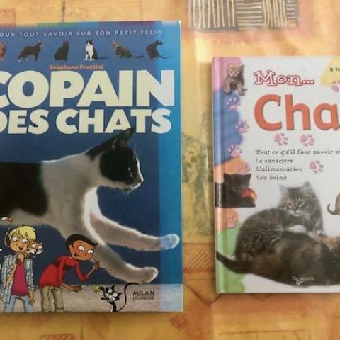 troc de  Lot 2 livres jeunesse sur les chats, sur mytroc