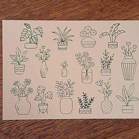 troc de  Carte postale végétale., sur mytroc