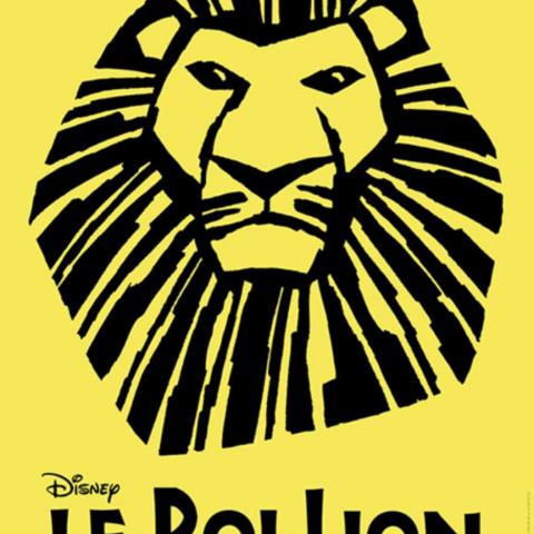 troc de  Recherche DVD Comédie musical le roi lion, sur mytroc