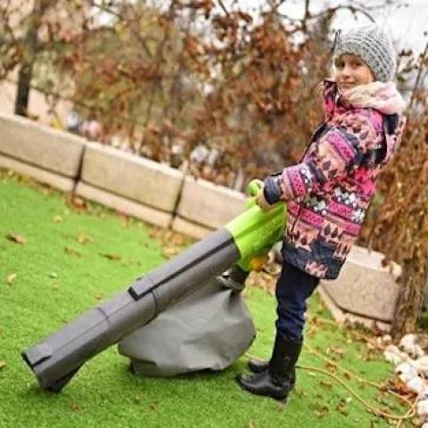 troc de  Aspirateur à feuille, sur mytroc