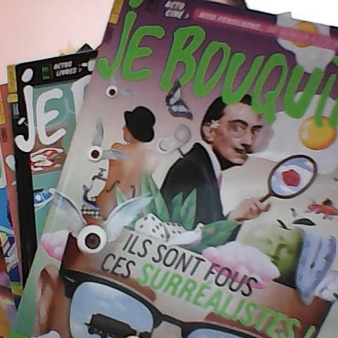 troc de  Série de 12 magazine "je bouquine", sur mytroc