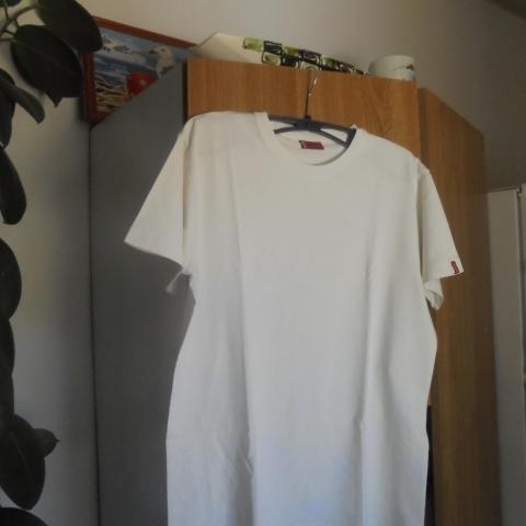 troc de  tee-shirt uni blanc marque lewis  taille M    4  noisettes, sur mytroc