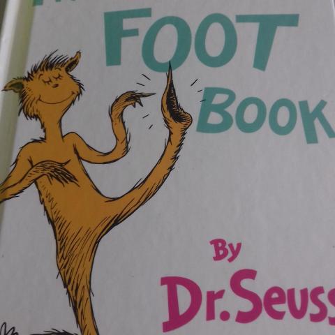 troc de  Livre en anglais the foot book, sur mytroc