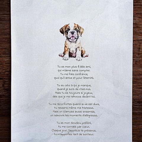 troc de  Affiche "Mon chien"., sur mytroc
