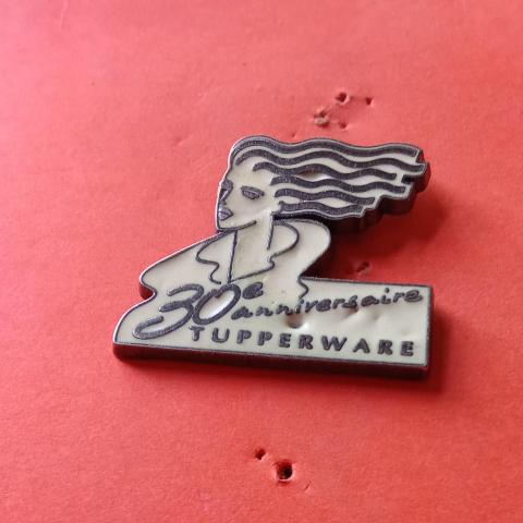 troc de  pin's / fidjy, sur mytroc