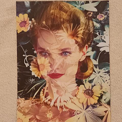 troc de  Image "Zinnia"., sur mytroc