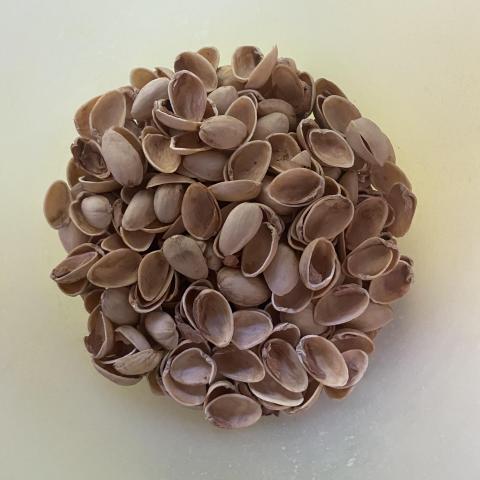 troc de  Lot réservé coques pistaches, sur mytroc