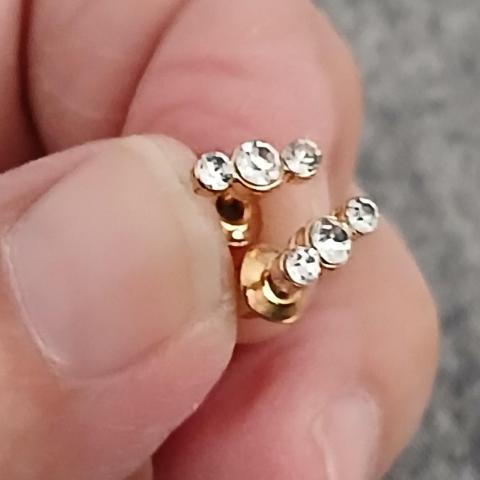 troc de  Une Paire De Boucle D Oreille, sur mytroc