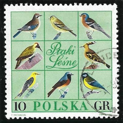 troc de  Recherche timbres oiseaux d'Europe, sur mytroc