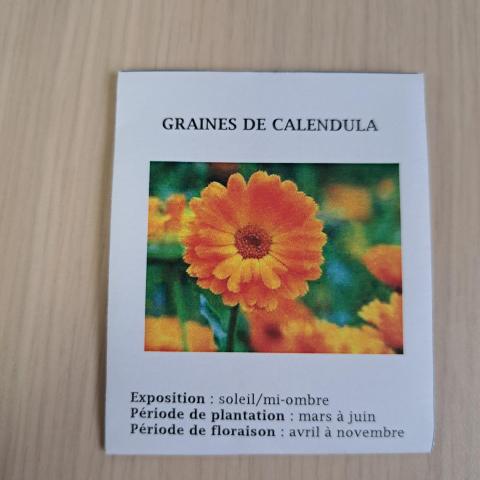troc de  Pochette de graines de Calendula, sur mytroc