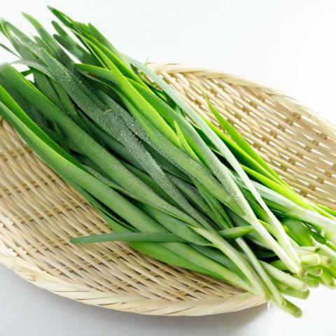 troc de  Graines de ciboule de Chine, sur mytroc