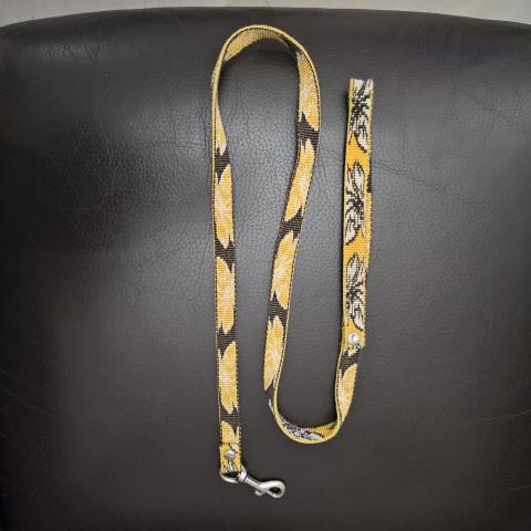 troc de  Laisse, sur mytroc