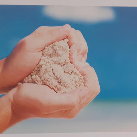 troc de  RESERVE Ginkgo Carte postale amour 47, sur mytroc