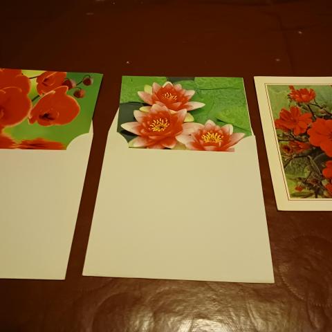 troc de  Lot de 3 cartes fleurs lot 2, sur mytroc